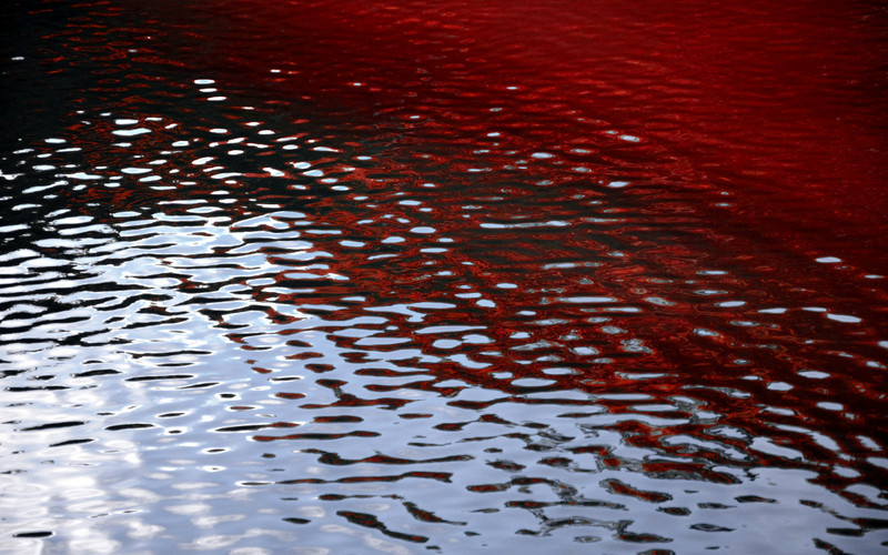 Blood red ripples on water. Photo 78369331 © Karen Black | Dreamstime.com